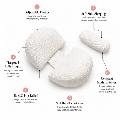 Felocci Pregnancy Pillow